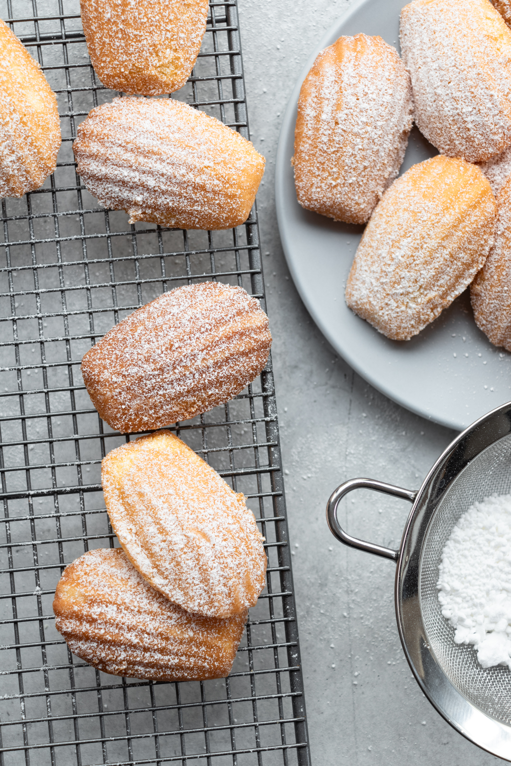 Madlene French Vanilla Lemon Madeleines - Apple Cake Annie french
