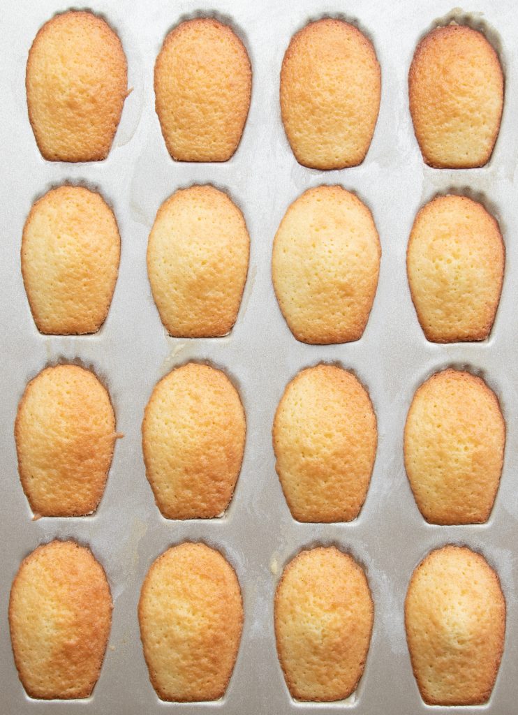freshly baked madeleines