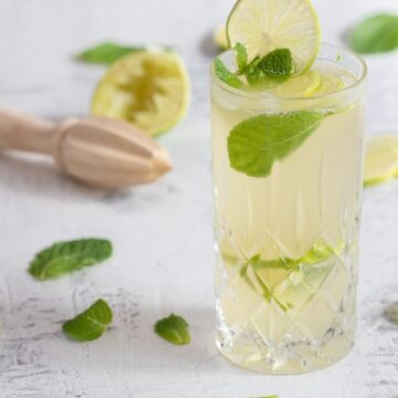 gin gin mule cocktail with lime and mint leaves