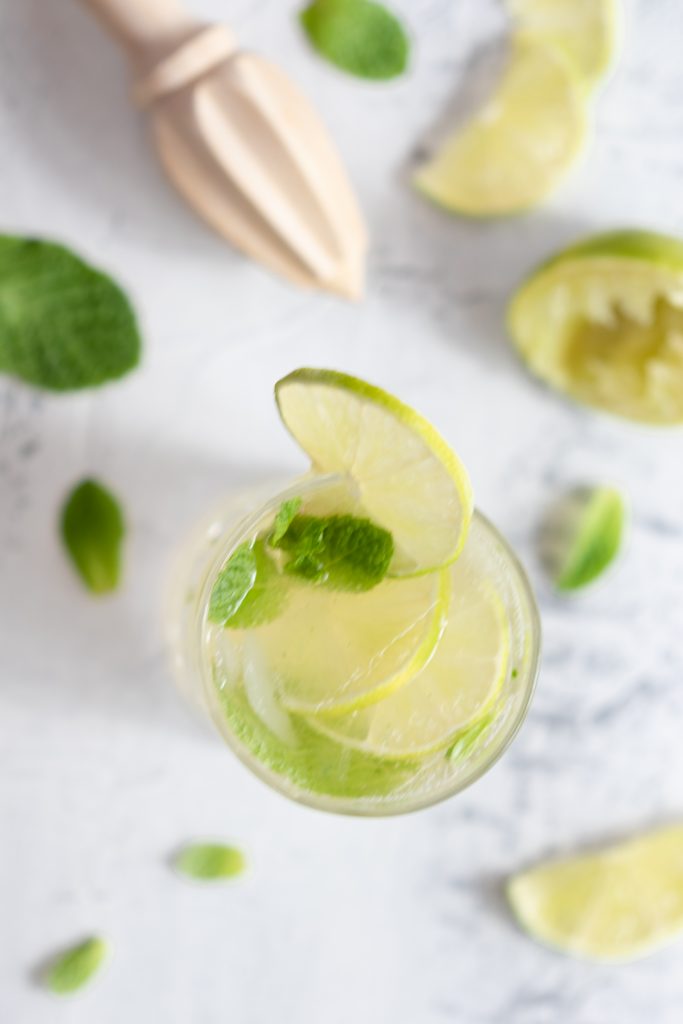 gin gin mule garnished with lime slices and mint leaves