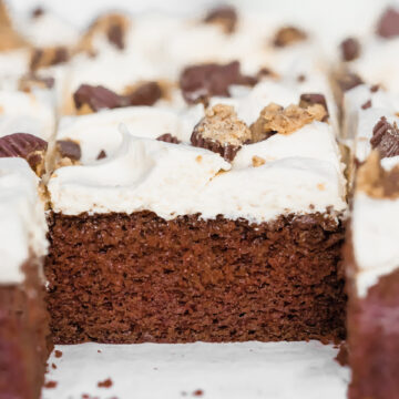 chocolate sheet with fluffy peanut butter frosting
