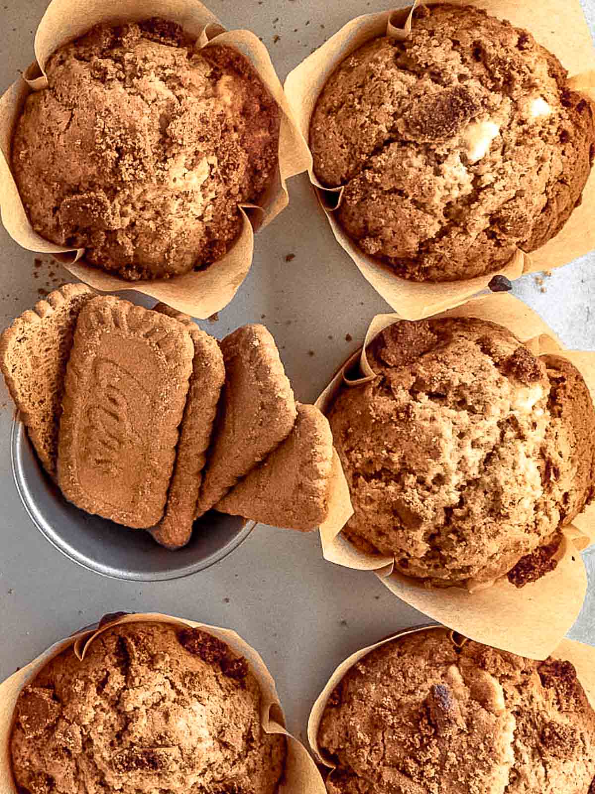 Fluffy biscoff muffins with white chocolate chips.