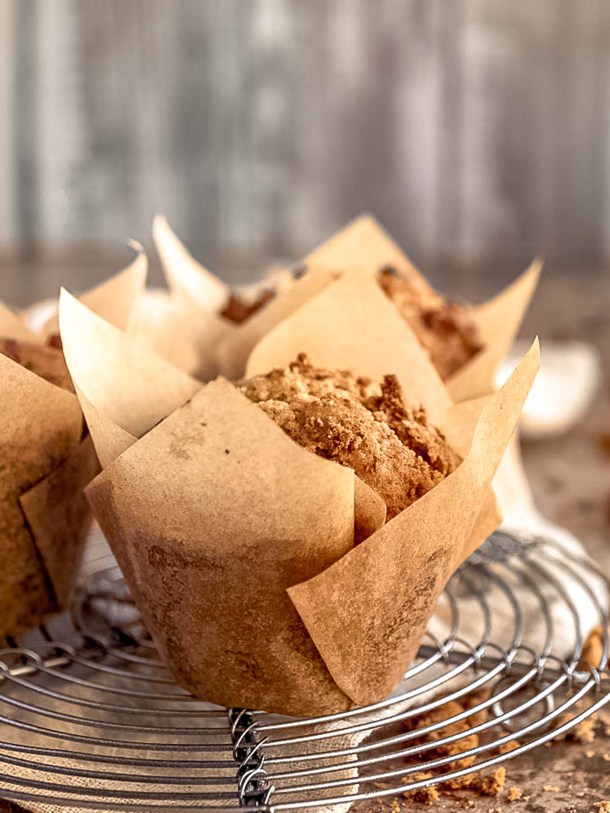 Fluffy biscoff muffins with white chocolate chips.