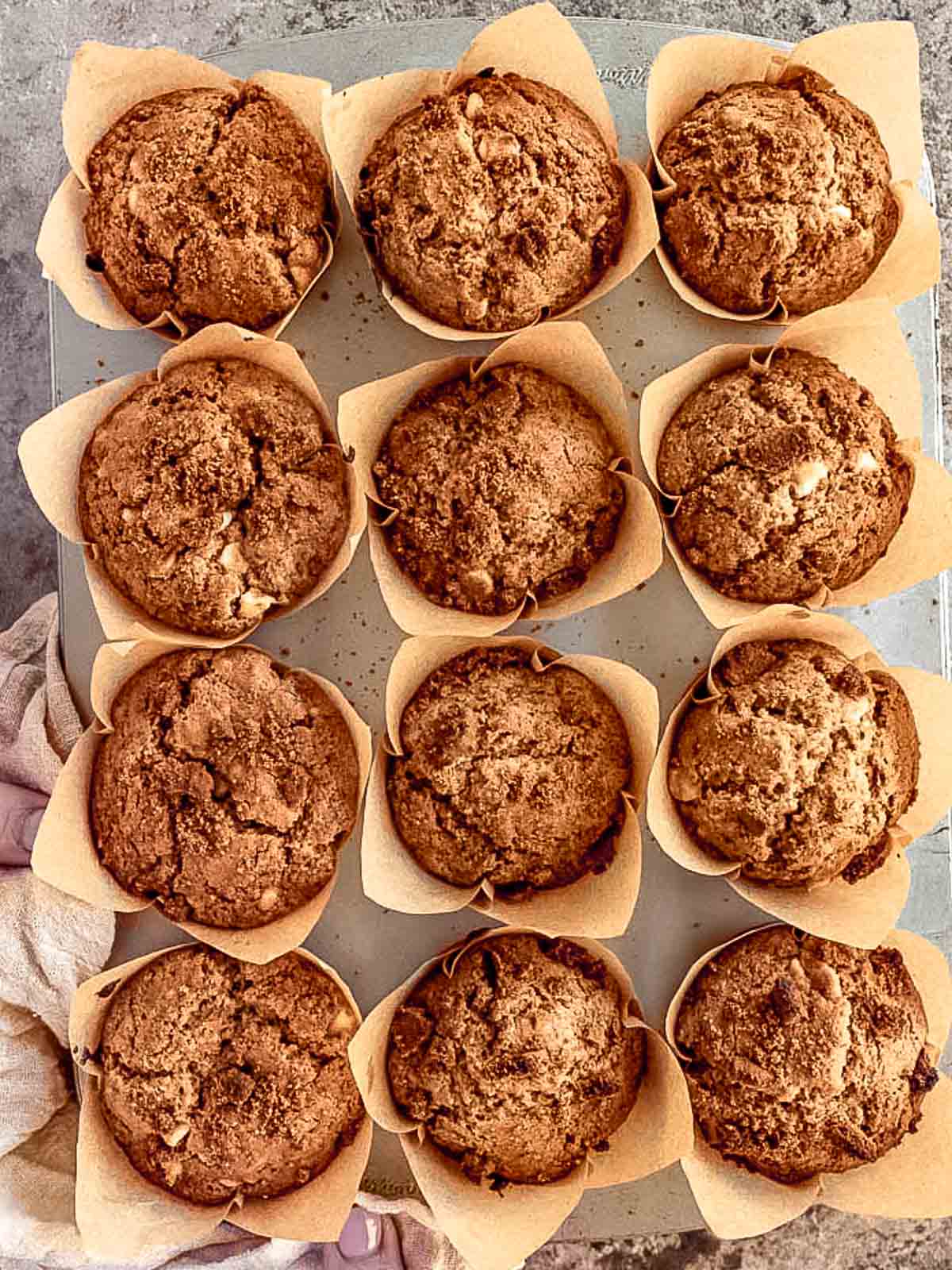 Fluffy biscoff muffins with white chocolate chips.