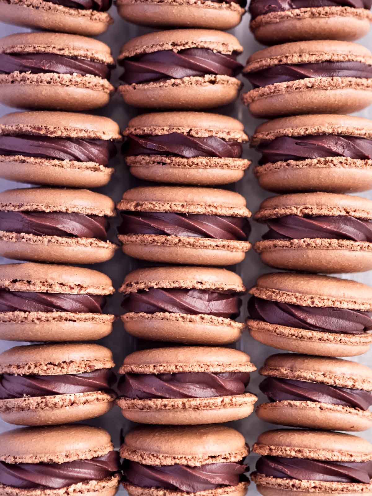 Rows of perfect chocolate macarons, filled with rich chocolate ganache.