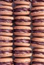 Rows of chocolate macarons, filled with dark chocolate ganache.