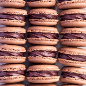 Rows of chocolate macarons, filled with chocolate ganache.